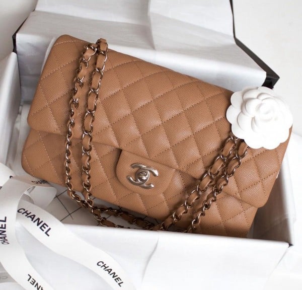 Chanel Bag Le Brown Premium Bag With Box Eddition