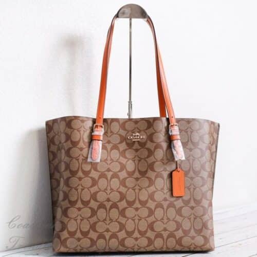 Coach Handbag Mollie Tote Shoulder Bag With OG Box