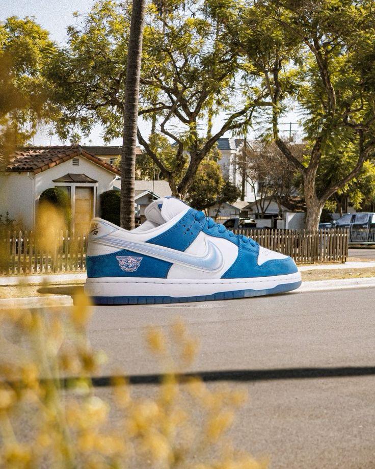 SB Dunk Born X Raised