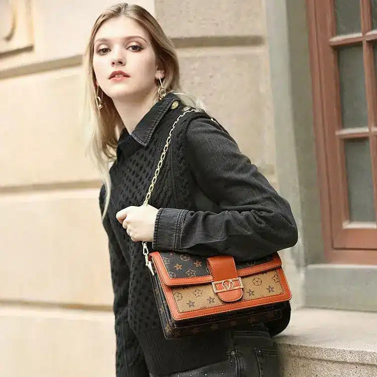 Vuitton Dauphine Brown Coffee Shoulder Bag With Box