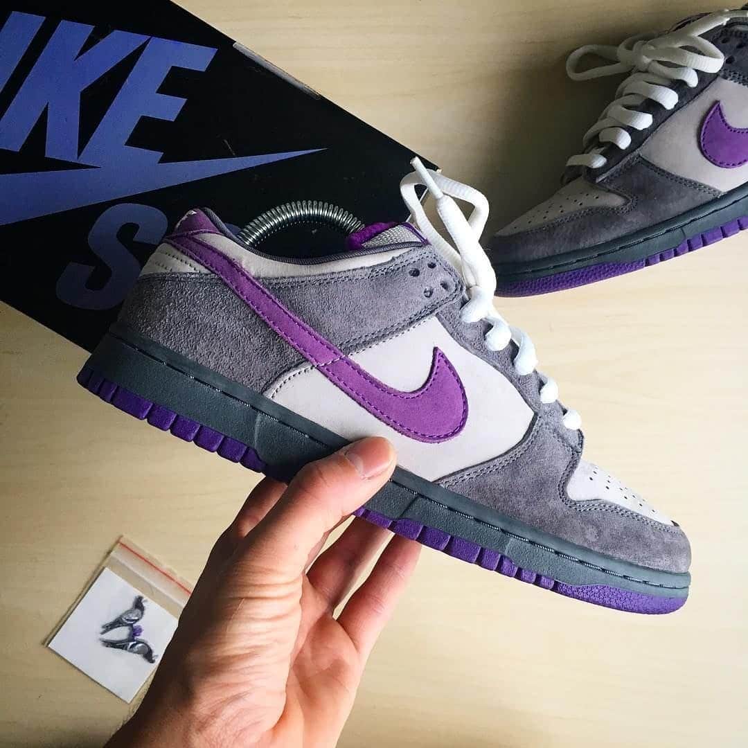 Nike SB Dunk Sneakers