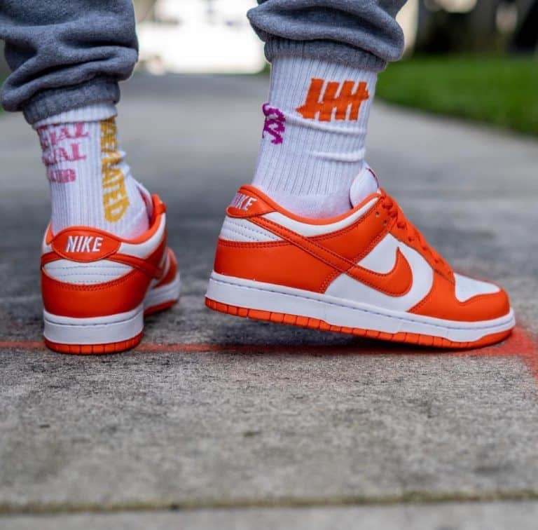 Nike SB Dunk Low Sneakers