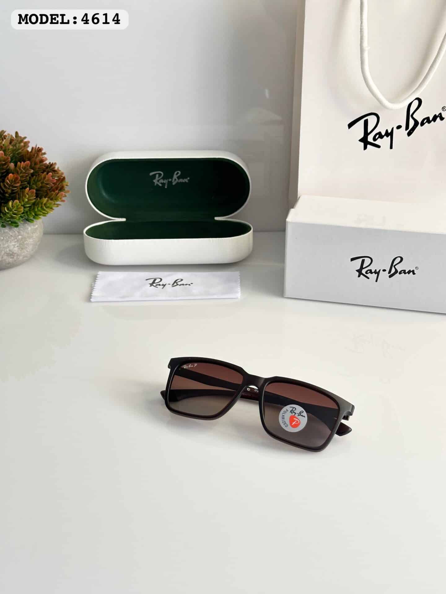 Rayban 4614 Brown Sunglasses