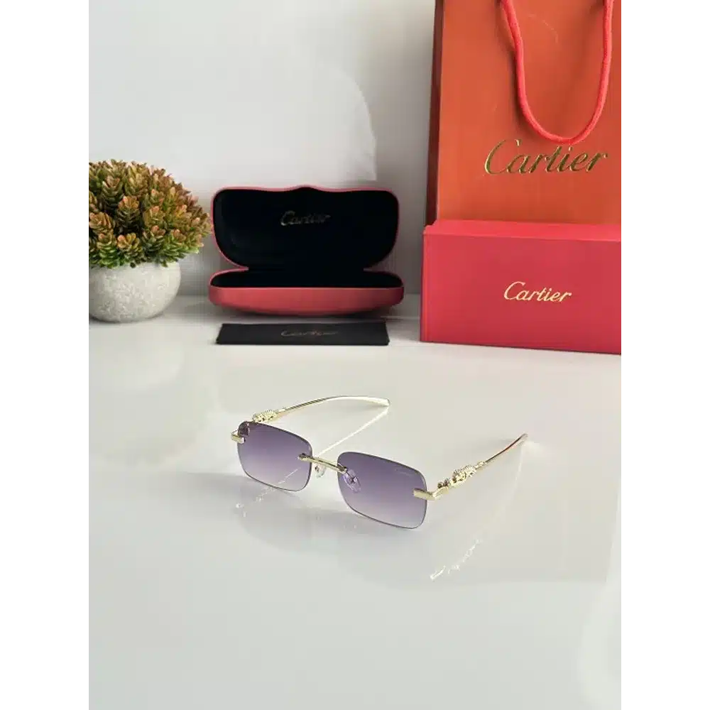 Stylish Men’s Carrera Sunglasses