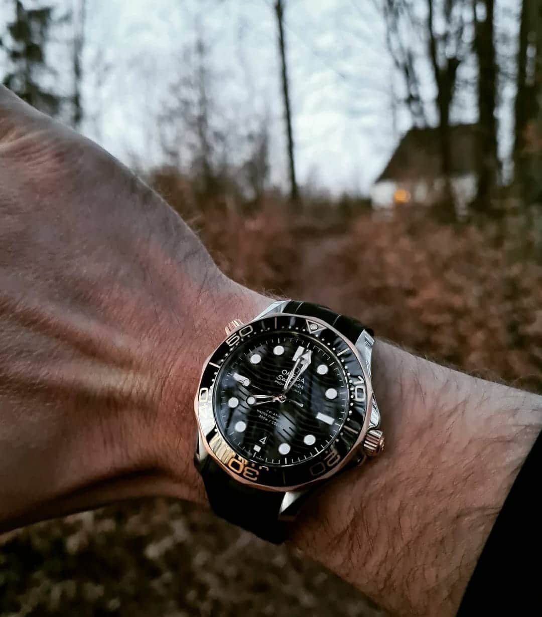 Branded seamaster Watch Diver 300M co-axial "AAA-Quality Watch