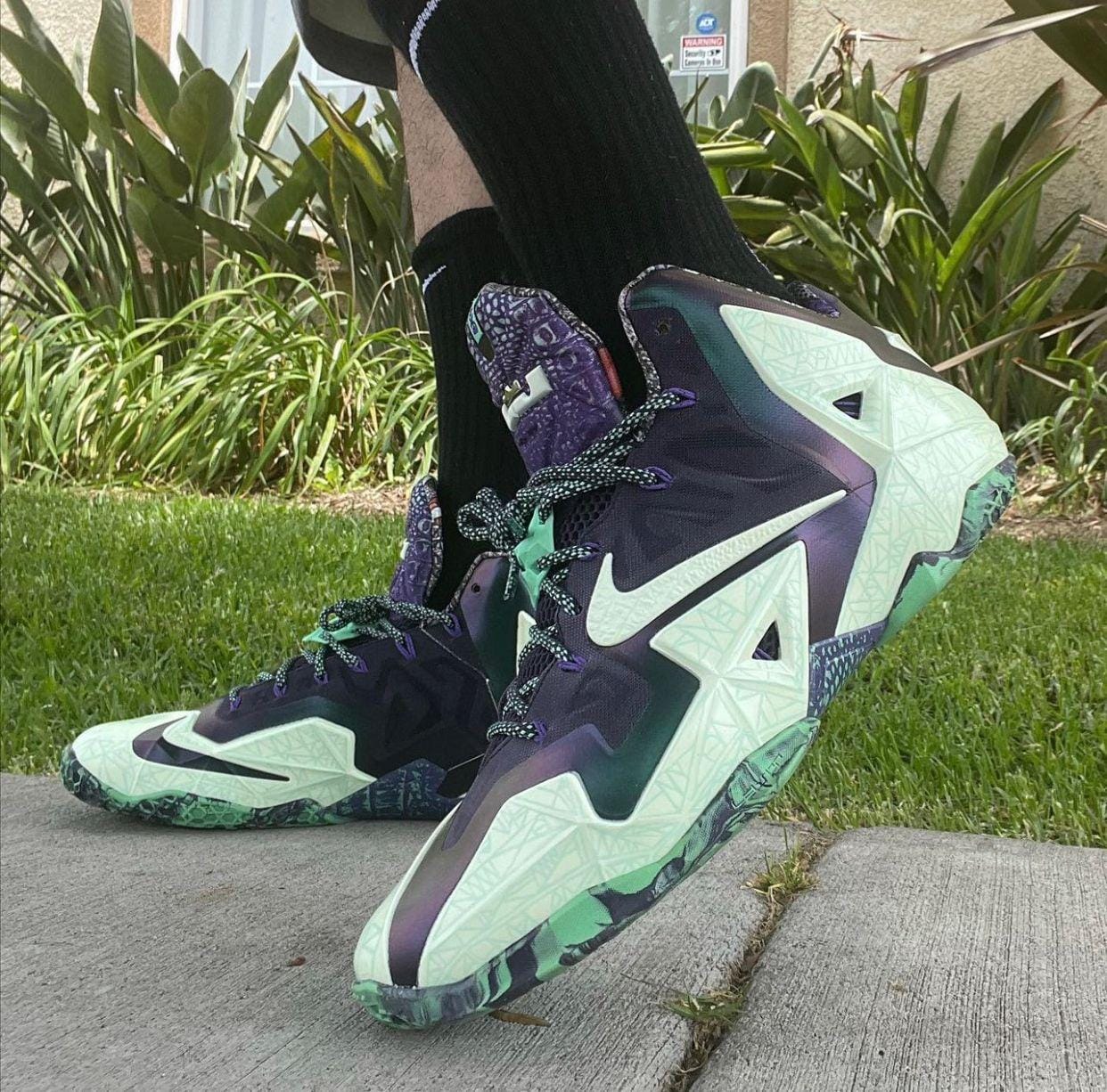Nike LeBron 11 Gator King Sneakers
