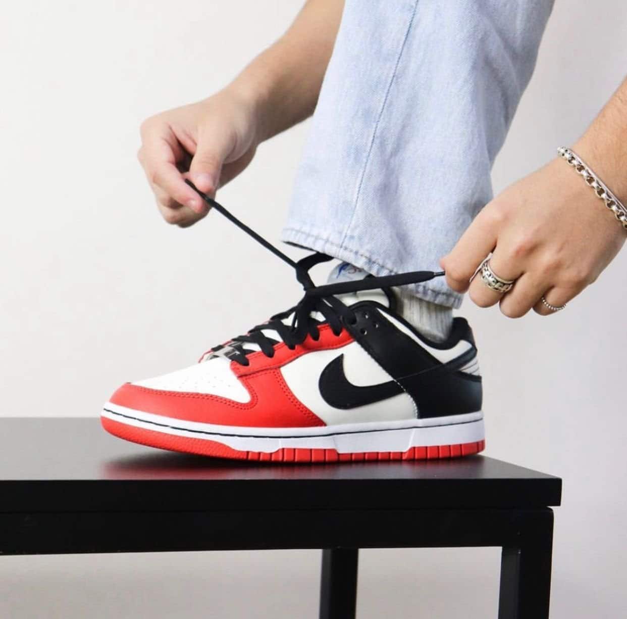 Nike SB Dunk Low Sneakers