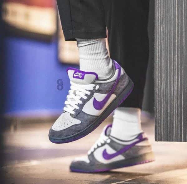 Nike SB Dunk Sneakers