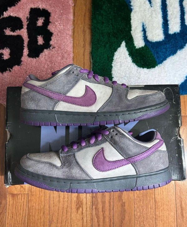 Nike SB Dunk Sneakers