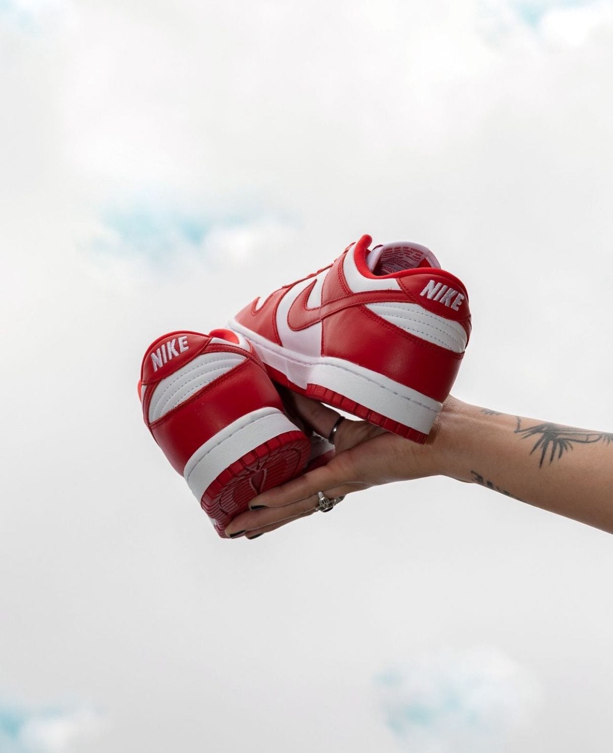 Nike SB Dunk Low Sneakers