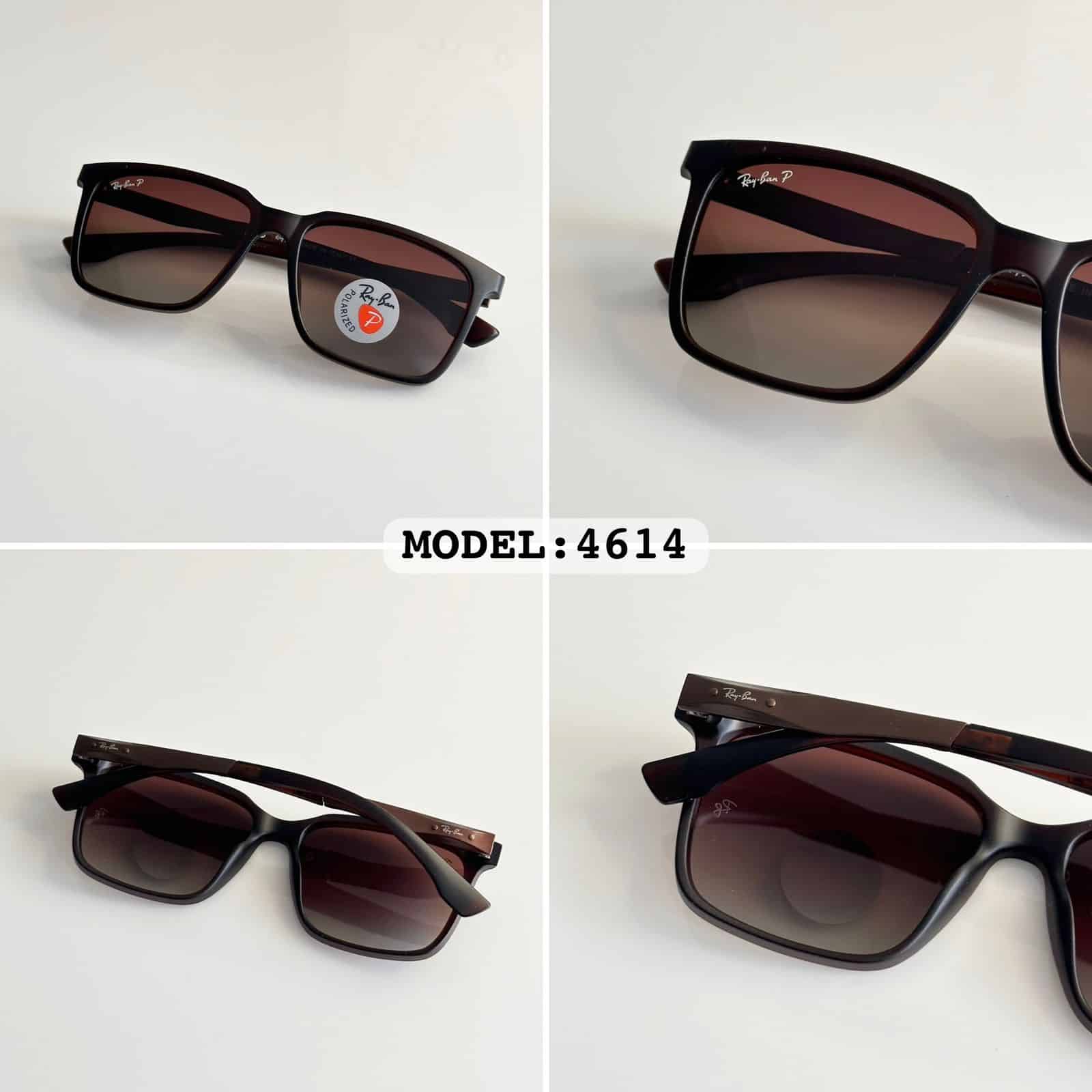 Rayban 4614 Brown Sunglasses