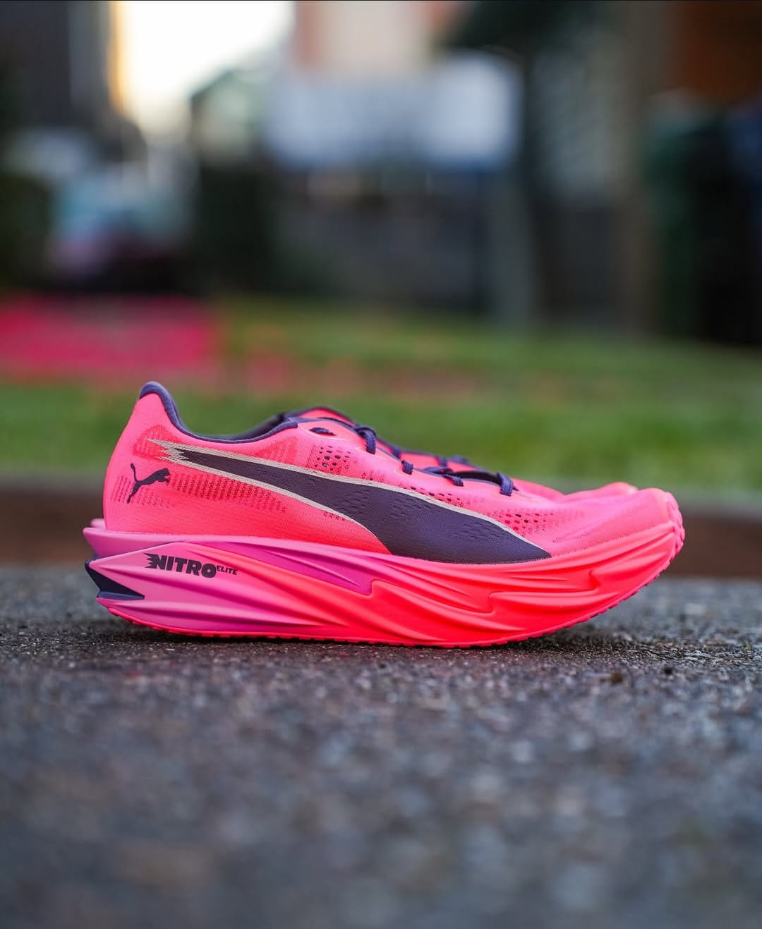 Puma Deviate Nitro Elite 4 Deep Plum Running Shoes