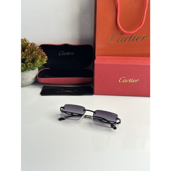 Cartier Sunglasses For Men 3